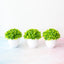 Mini plante de bonsaï artificielle dans un pot décoratif