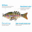 Mini leurre de pêche articulé multi-segments