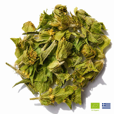 Premium Greek Mountain Tea – Wildcrafted Sideritis Scardica (Loose Leaf)