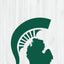 Custom Michigan Pro Style Cornhole Boards - Premium Quality - Korvel