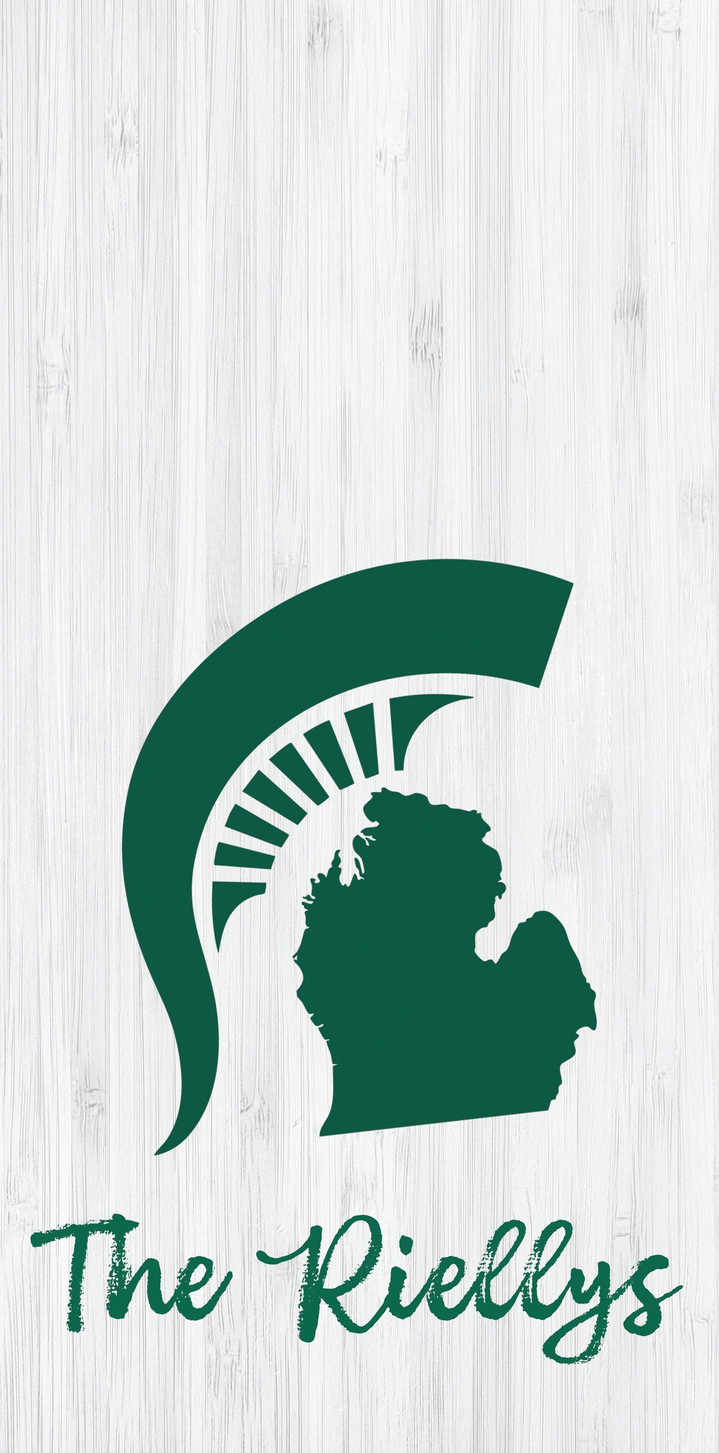 Custom Michigan Pro Style Cornhole Boards - Premium Quality - Korvel