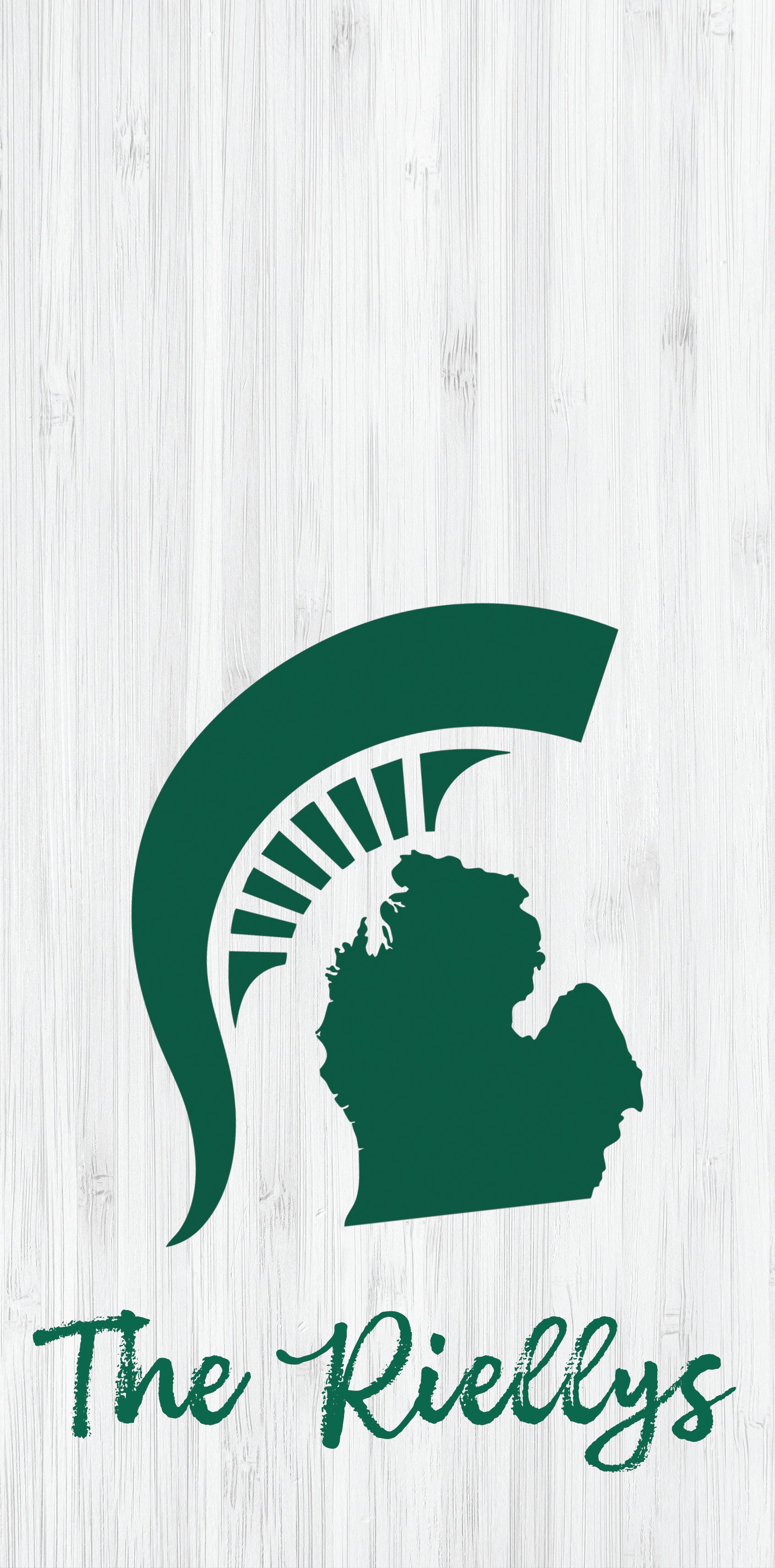 Custom Michigan Pro Style Cornhole Boards - Premium Quality - Korvel