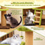 Árbol para Gatos Bonito con Nido de Hongo y Escalera - Verde