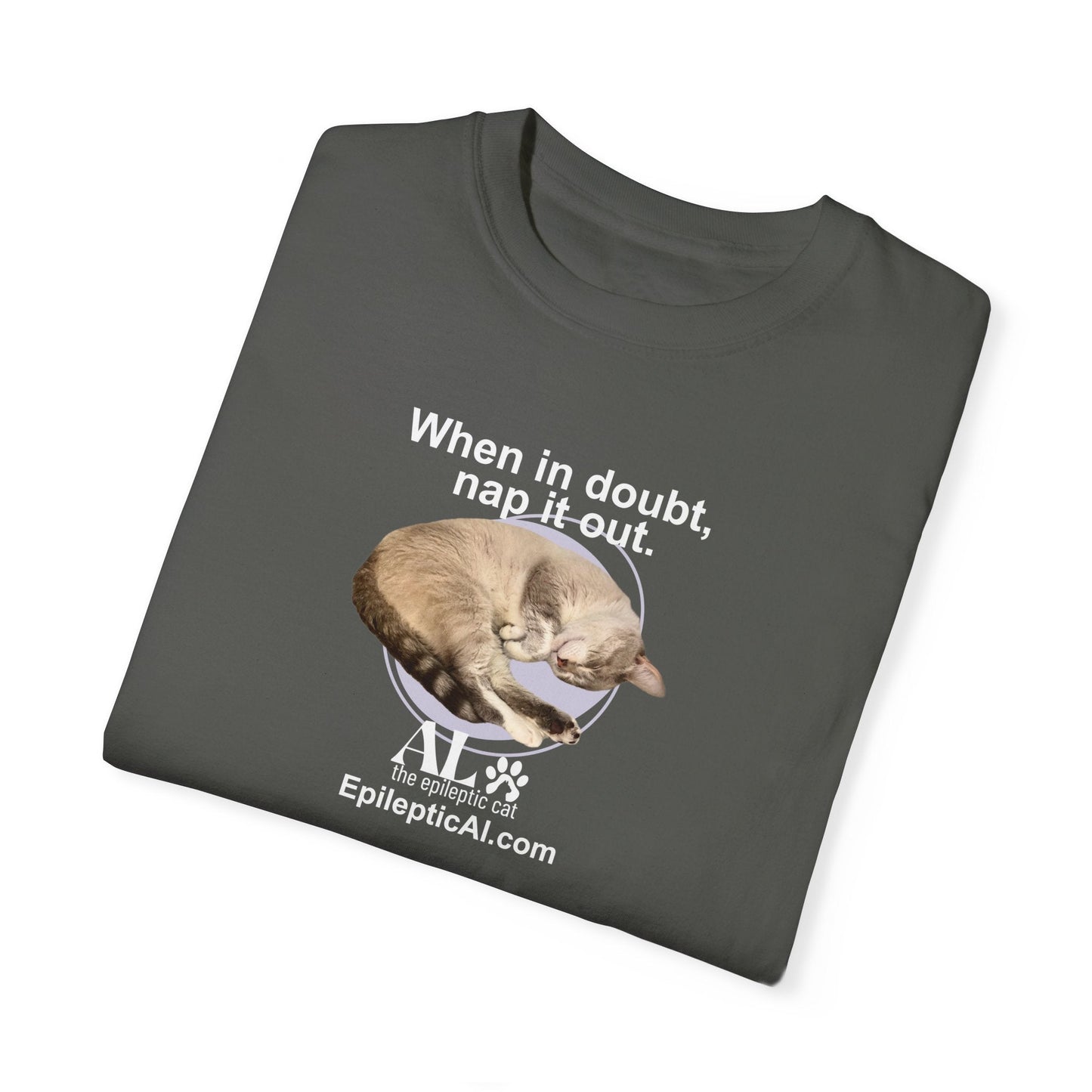 Nap It Out Al Unisex Garment-Dyed T-shirt