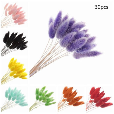Colorful Dried Fox Tail & Bunny Tail Pampas Grass Bouquet