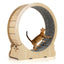 40 Inch Large Cat Exercise Wheel with Lockable Mechanism