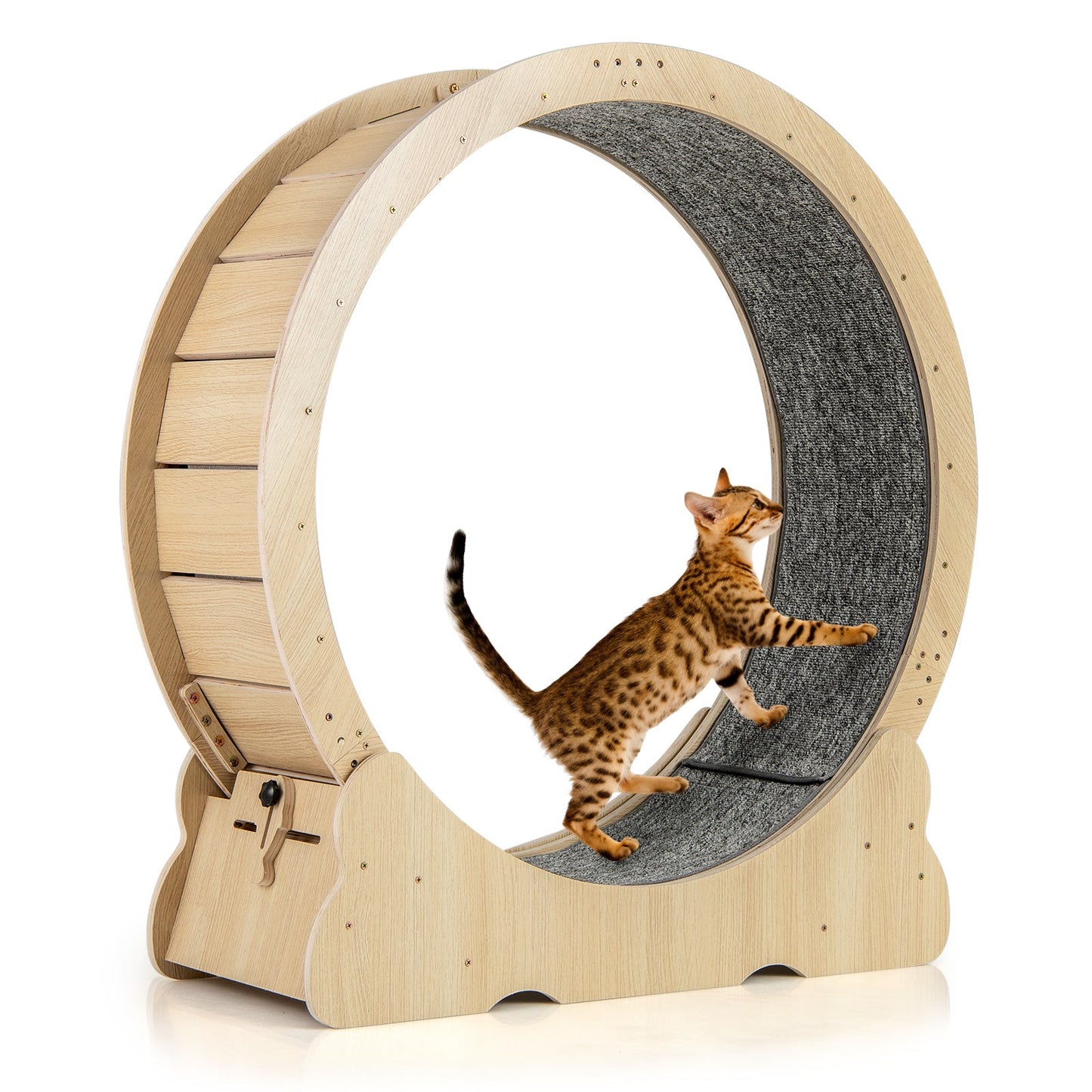 40 Inch Large Cat Exercise Wheel with Lockable Mechanism