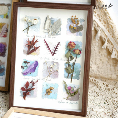 Nature's Cabinet - Real Botanical Specimen Shadow Box Art