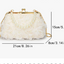 Elegant Net Lace Pleated Clutch Handbag with Pearl Chain
