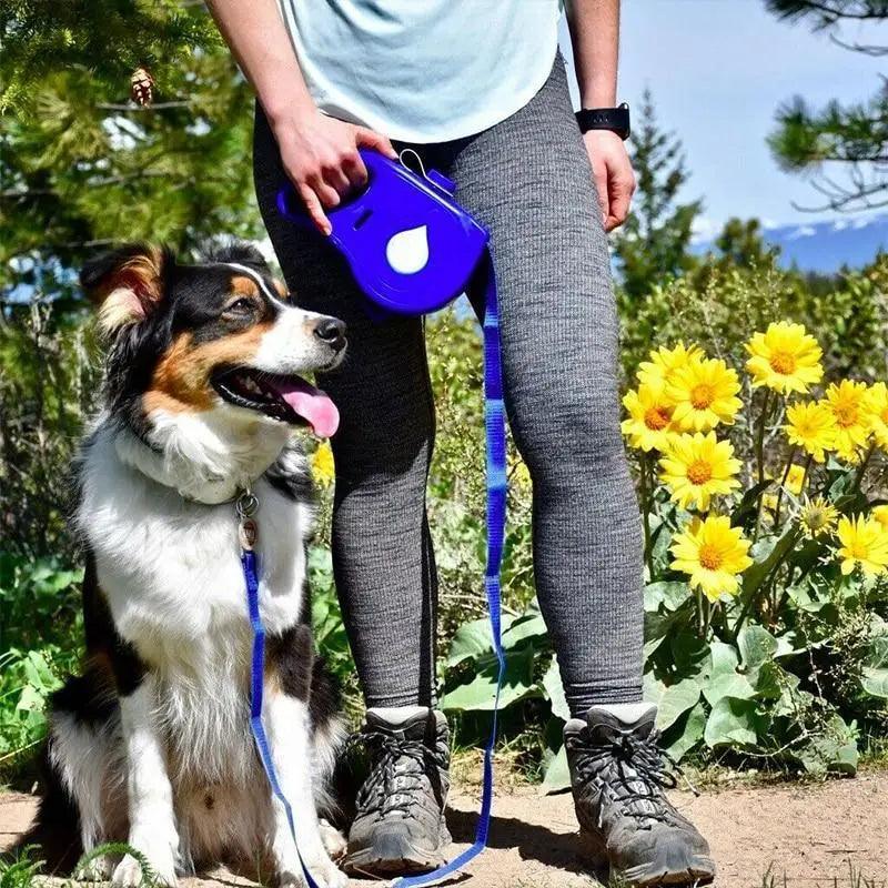 Laisse pour animaux de compagnie colorée multifonctionnelle 3-en-1 avec accessoires