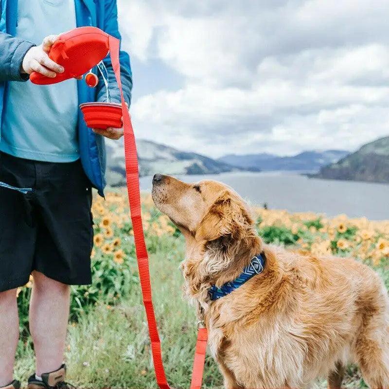 Laisse pour animaux de compagnie colorée multifonctionnelle 3-en-1 avec accessoires