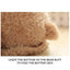 New Elegance 33cm Plush Music Bear - Ideal Gift for Kids