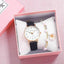 Reloj de Cuarzo Elegante para Mujeres con Manecillas Luminiscentes