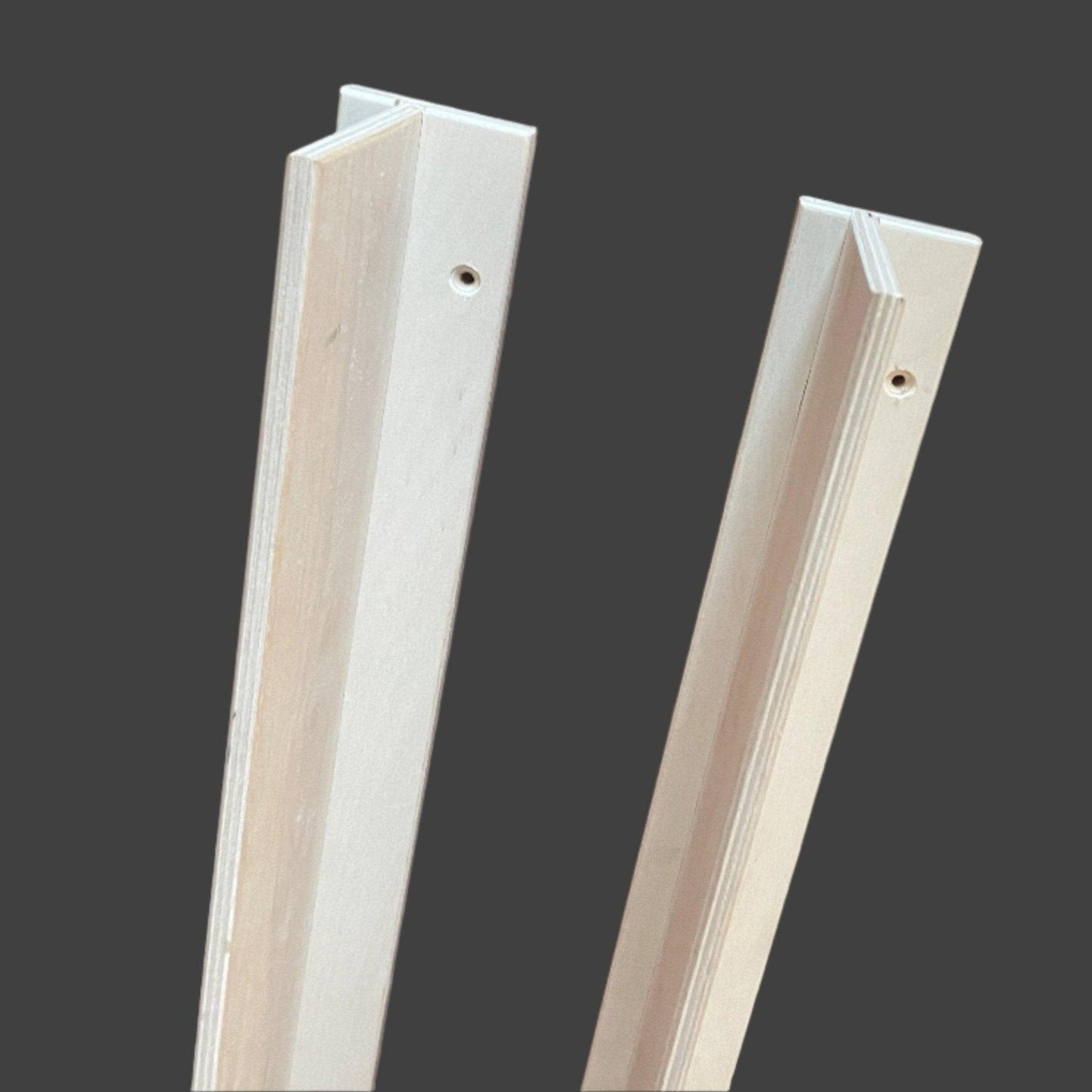Estante Ledge - Solución de Almacenamiento Montada en la Pared