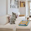 Jouets de puzzle pour chiens engageants pour un jeu interactif