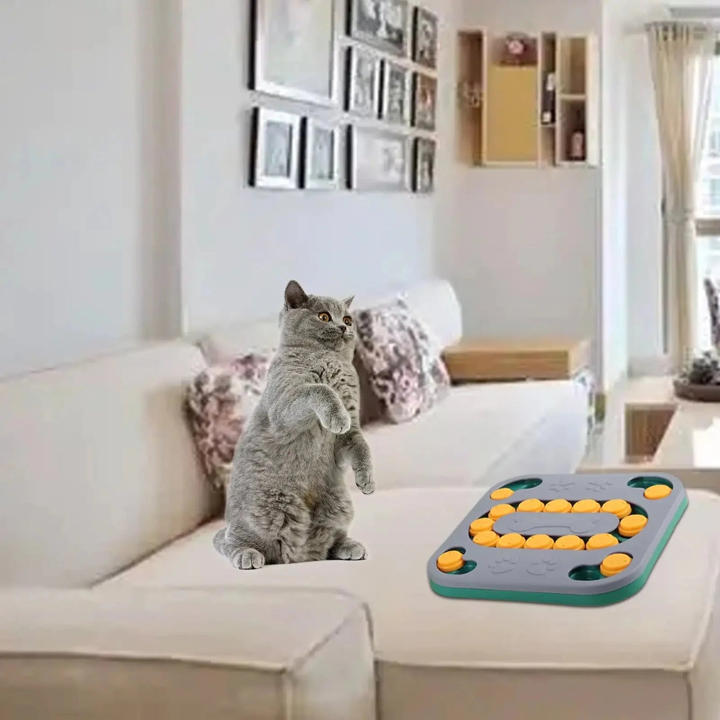 Jouets de puzzle pour chiens engageants pour un jeu interactif