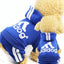 Cozy Casual Dog Hoodie for Ultimate Comfort