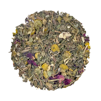 Beach Wellness: Nutritive - Korvel