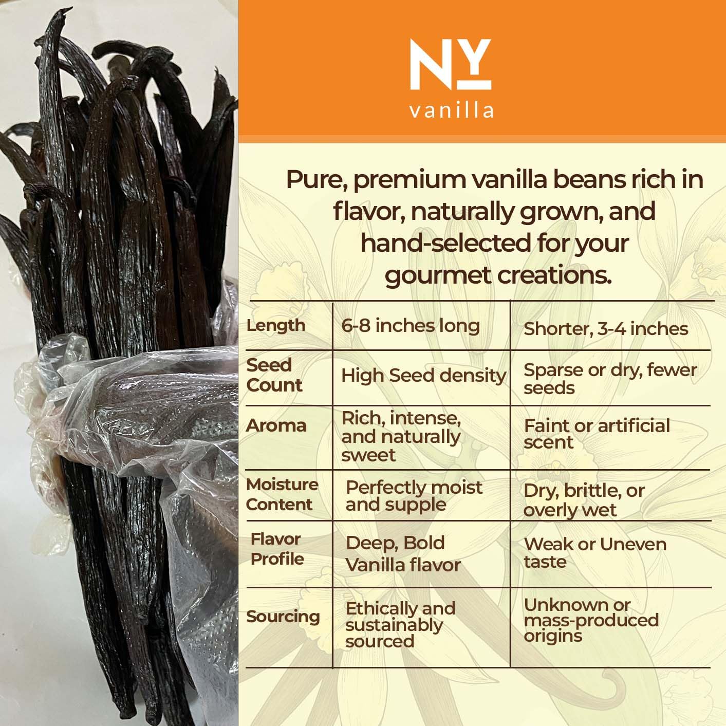 Premium Ugandan Vanilla Bean Pods – Bulk 1 lb