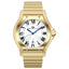Oceanaut Men's Rayonner Watch