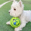 Jouets de football pour chiens durables pour un jeu actif
