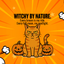 Catsplaining the Year – 2026 Funny Cat Calendar