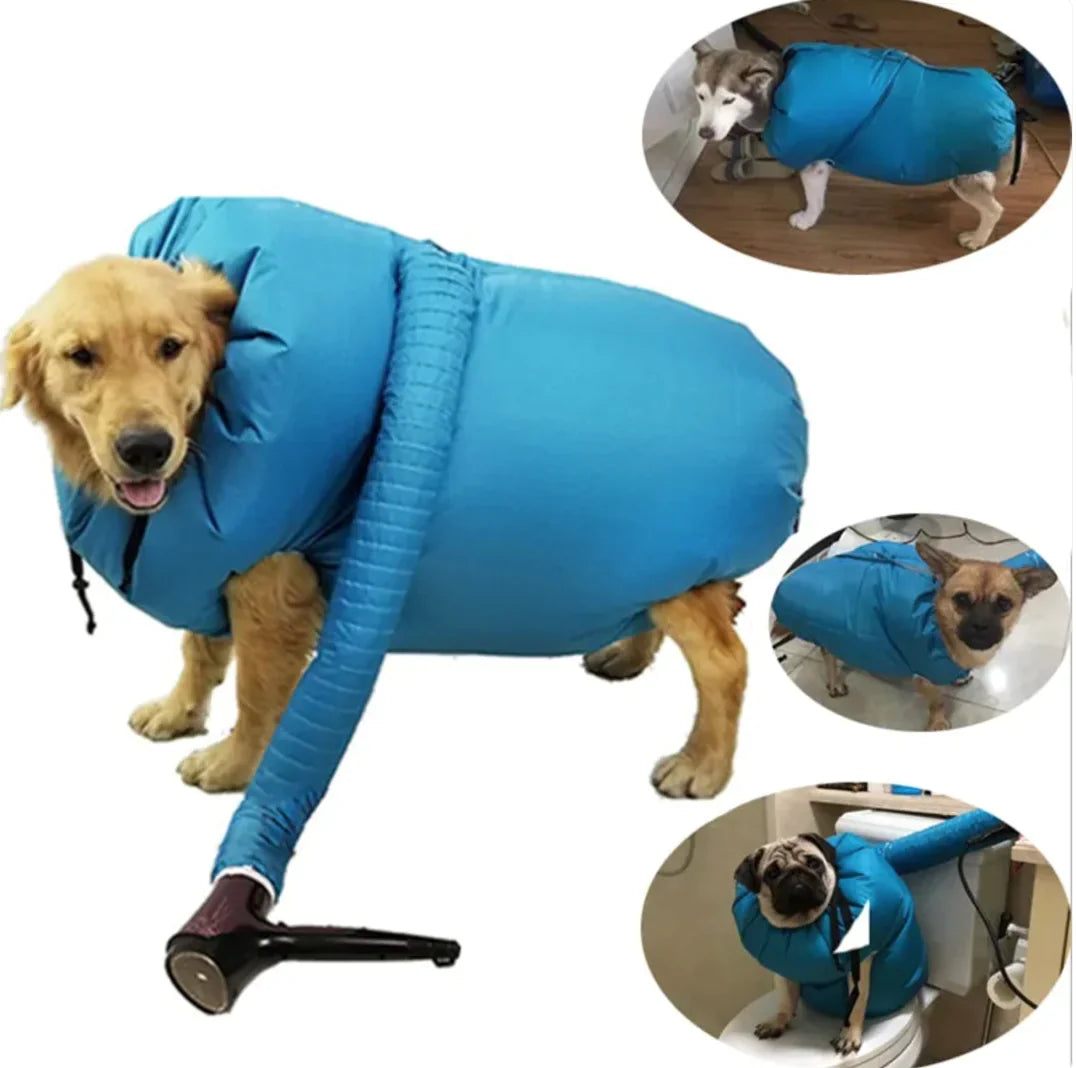 Kit de Sèche-Cheveux pour Chiens Premium pour un Toilettage Sans Effort
