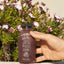 Defense+ Plant-Powered Protein Shake - Korvel
