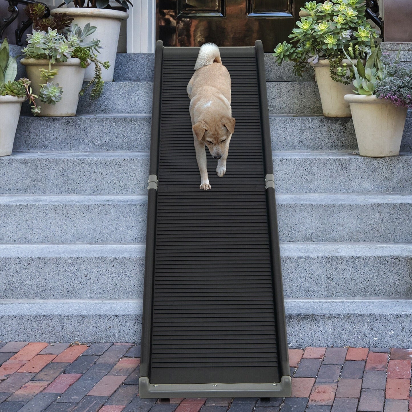 63-Inch Folding Pet Ramp with Steel Frame