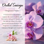 Aquarius Zodiac Crystal-Infused Coconut-Soy Wax Melts - Korvel