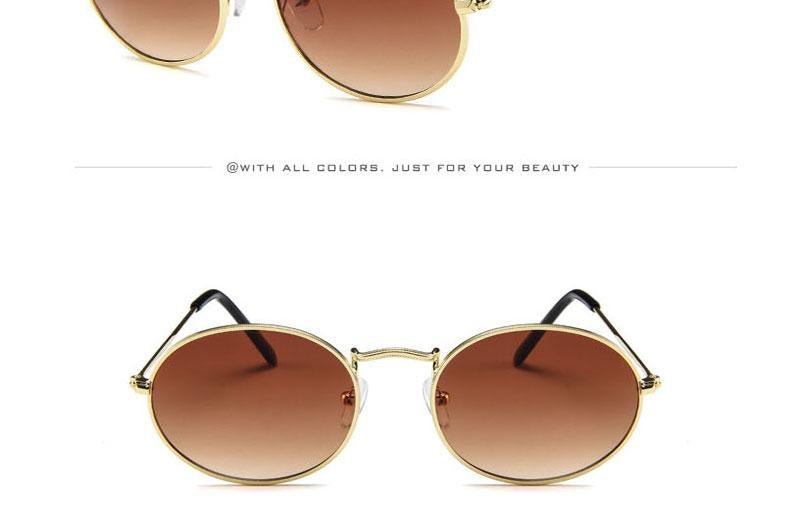 Trendy Oval Sunglasses - Vintage Style for Men & Women - Korvel