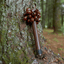 Handmade Pala Cardamom Seed Pod Wooden Handle Shaker