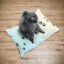 Lit pour animaux à empreintes de pattes pastel | Lit confortable pour chiens et chats