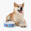 USA Themed Pet Bowl - Ideal for Dog and Cat Enthusiasts! - Korvel