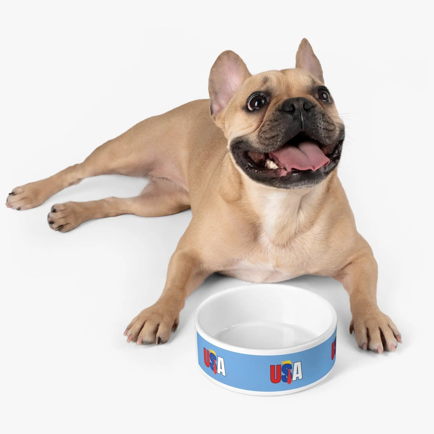 USA Themed Pet Bowl - Ideal for Dog and Cat Enthusiasts! - Korvel