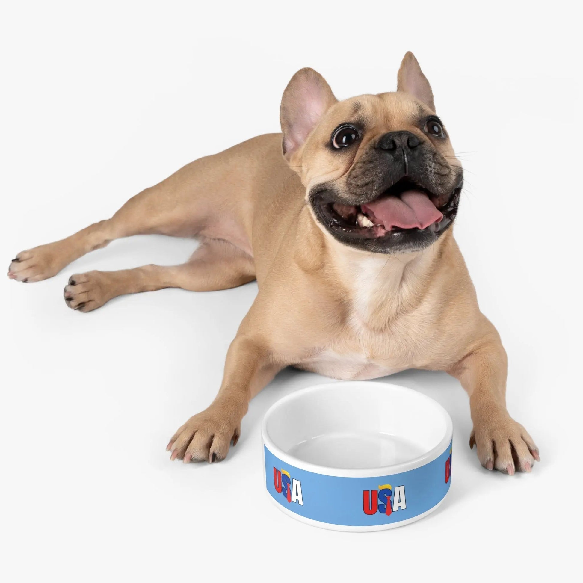 USA Themed Pet Bowl - Ideal for Dog and Cat Enthusiasts! - Korvel
