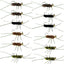 Tungsten Bead Jigged Pat's Rubber Legs Nymph Assortment Euro Fly Fishing Flies - Trout and Bass Wet Fly Pattern - 12 Flies Hook Size 10