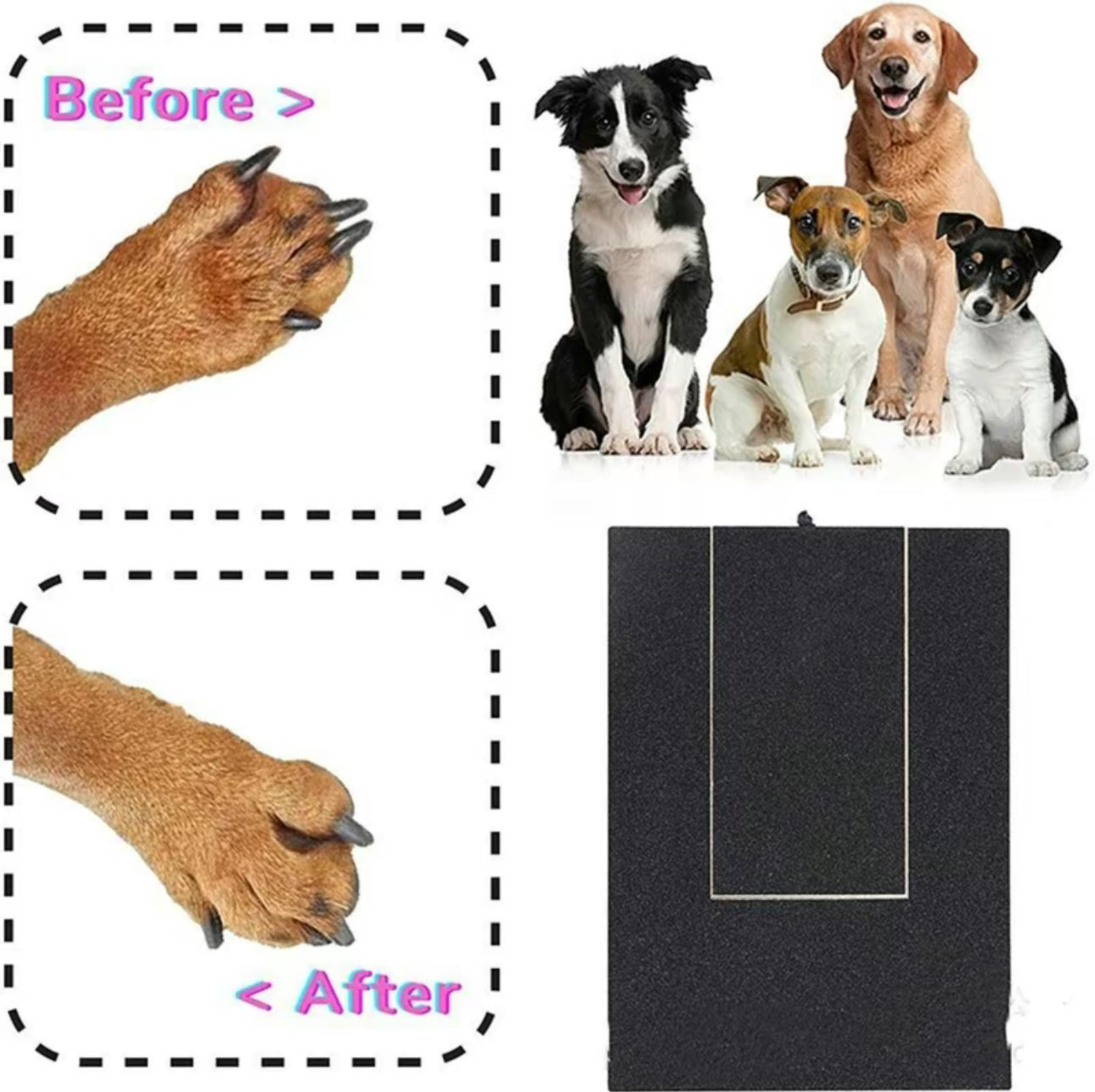 Planche à Ongles Paw pour un Toilettage Facile des Animaux