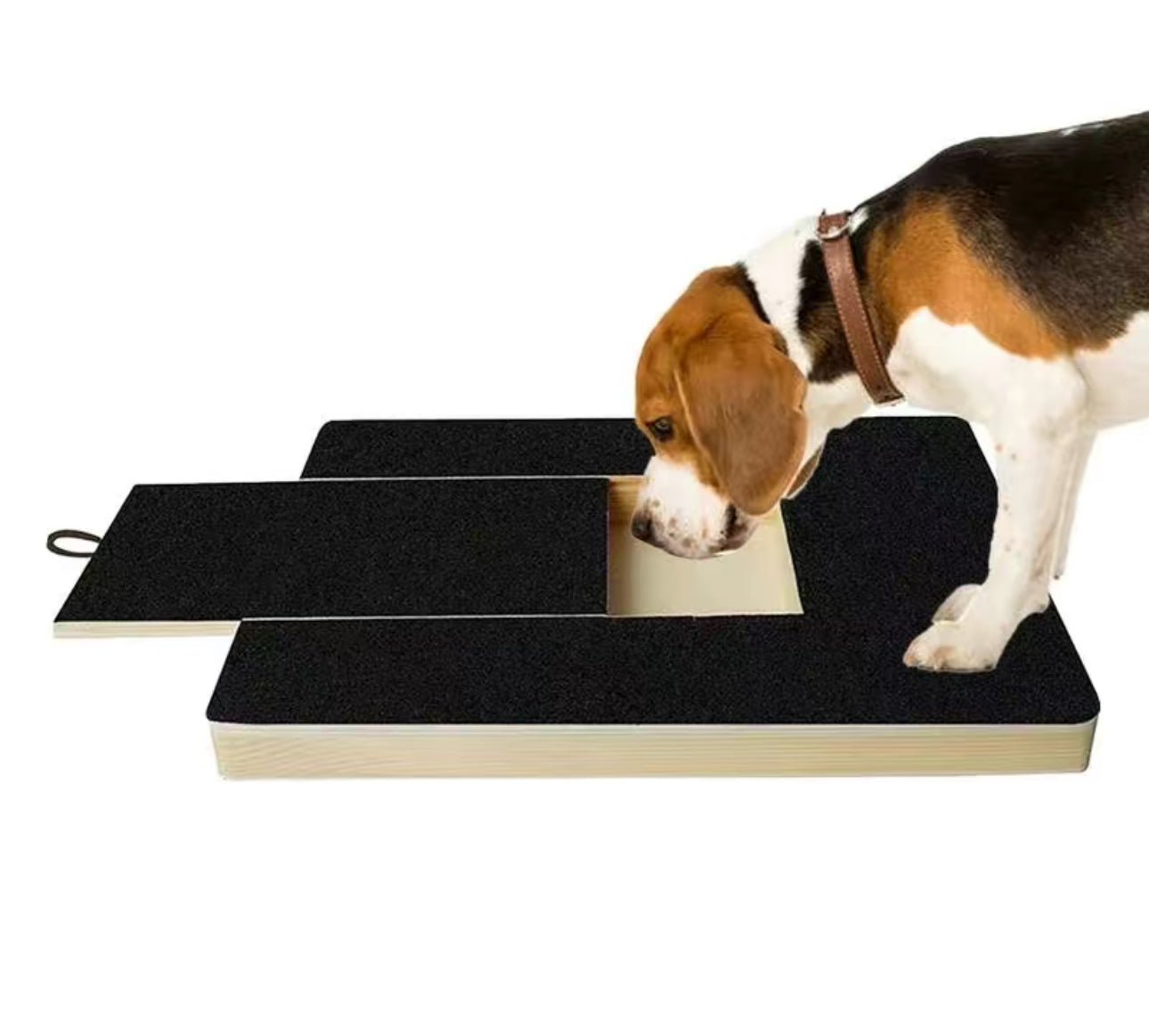 Planche à Ongles Paw pour un Toilettage Facile des Animaux