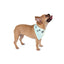Bandana para Mascotas con Huellas - Accesorio Elegante para Mascotas