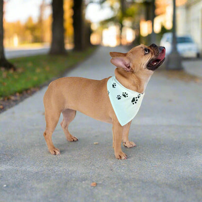Paw Print Pet Bandana - Stylish Accessory for Pets