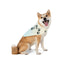 Bandana para Mascotas con Huellas - Accesorio Elegante para Mascotas