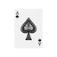 PAWKER Cat Poker Playing Cards – Unique Cat Suit Deck