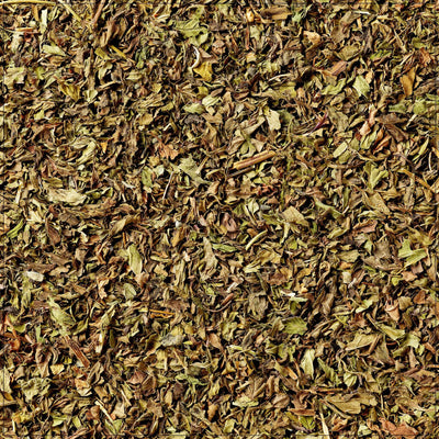 Hoja de Menta Premium - Fresca y Sabrosa