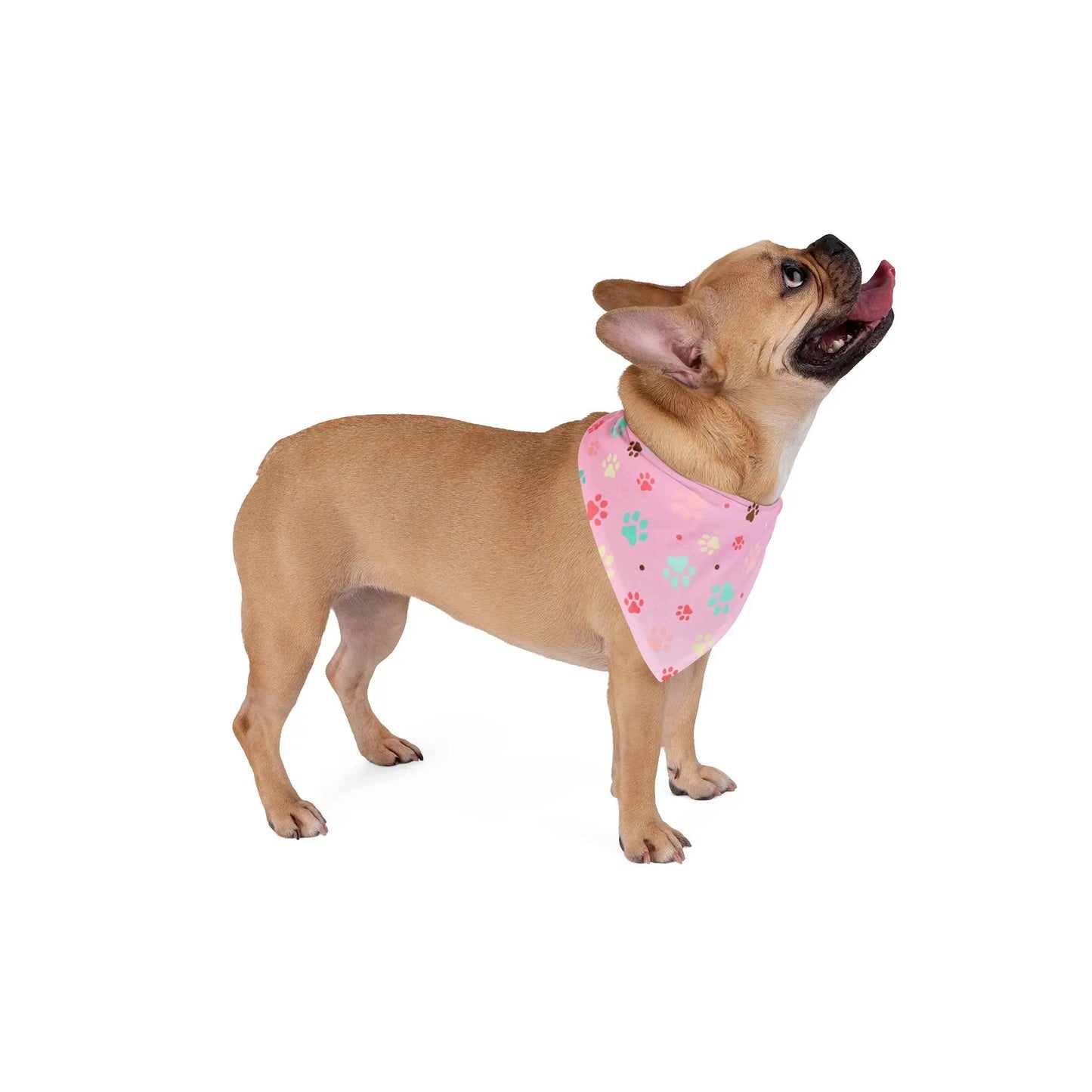 Vibrant Paw Print Bandana for Stylish Pets - Korvel