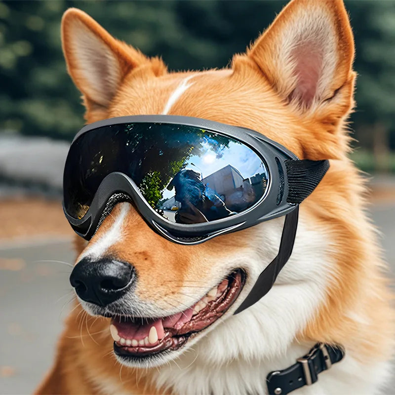 Gafas Anti-UV Premium para Perros para Protección Ocular