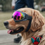 Gafas Anti-UV Premium para Perros para Protección Ocular