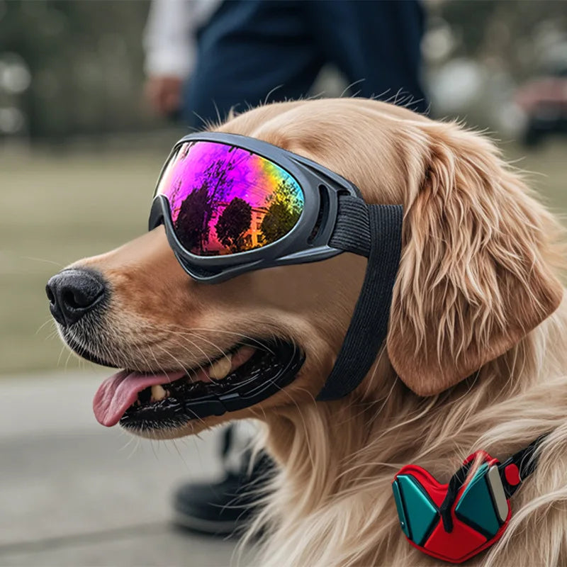 Gafas Anti-UV Premium para Perros para Protección Ocular