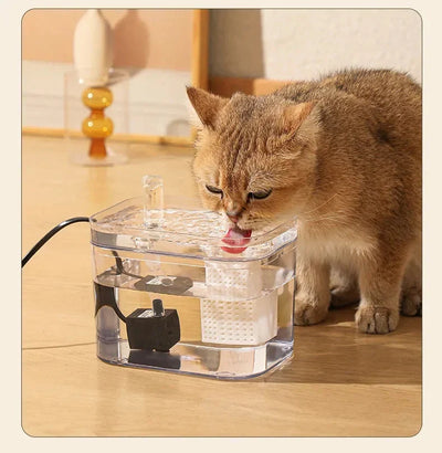 Pet Fountain V.I.P - Premium Water Dispenser