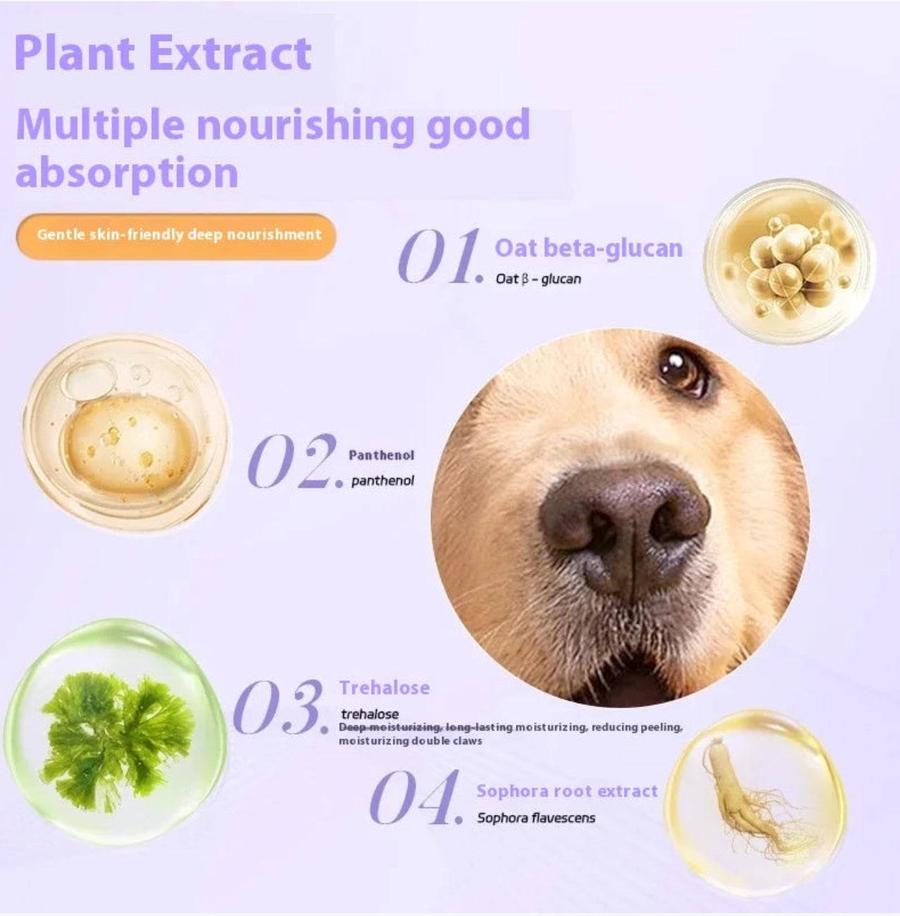 Pet Paw Moistening Roller for Healthy Paws